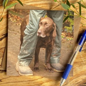 Daddys-Boy-Chocolate-Lab-Greeting-Card-3578-1643971509